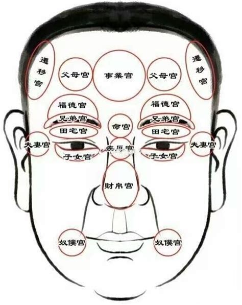 面相圖|面相的十二宮部點陣圖